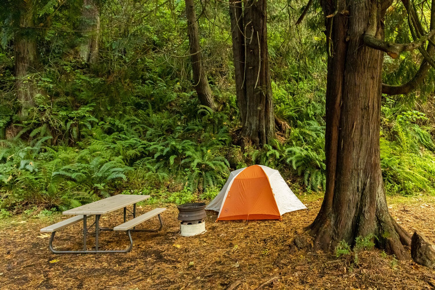 🏖️ 크레센트 비치 해빈공원 이미지 3